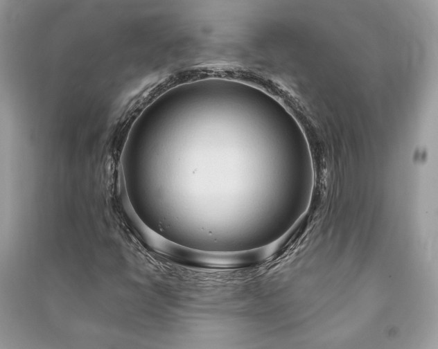 X0000090981398200708091448