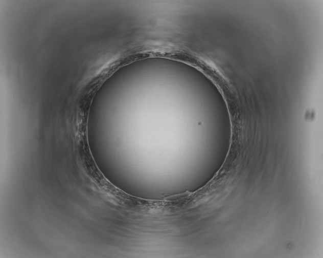 X0000090981399200708091448