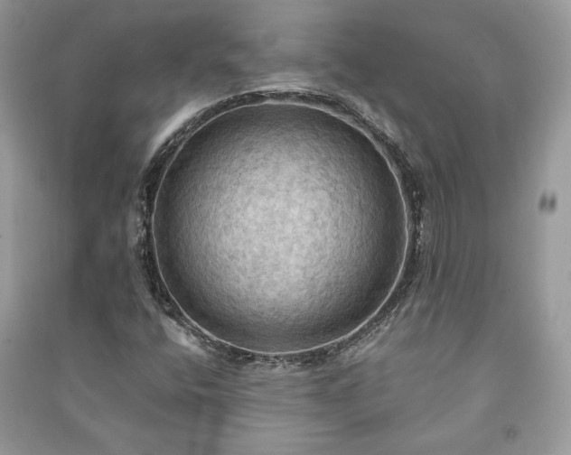 X0000090981400200708091448