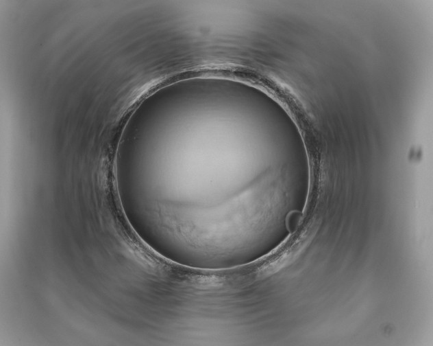 X0000090981401200708091448