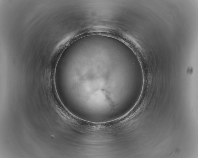 X0000090981403200708091448