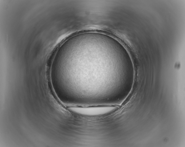 X0000090981404200708091448