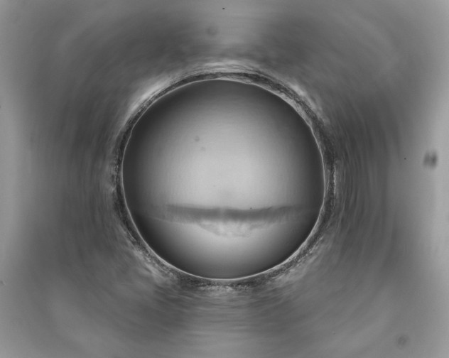 X0000090981405200708091448
