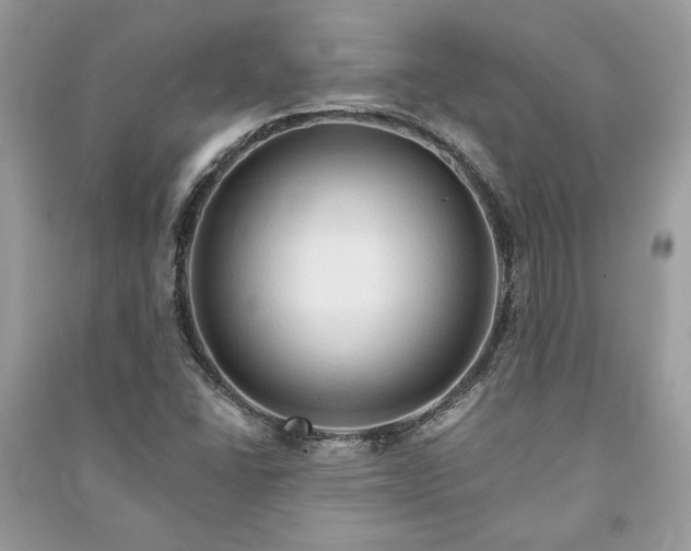 X0000090981406200708091448
