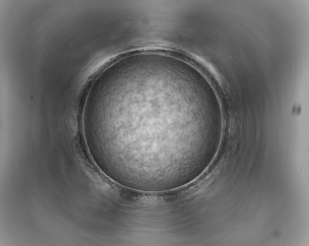 X0000090981407200708091448