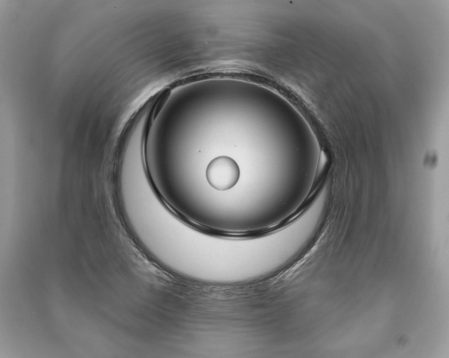 X0000090981410200708091448