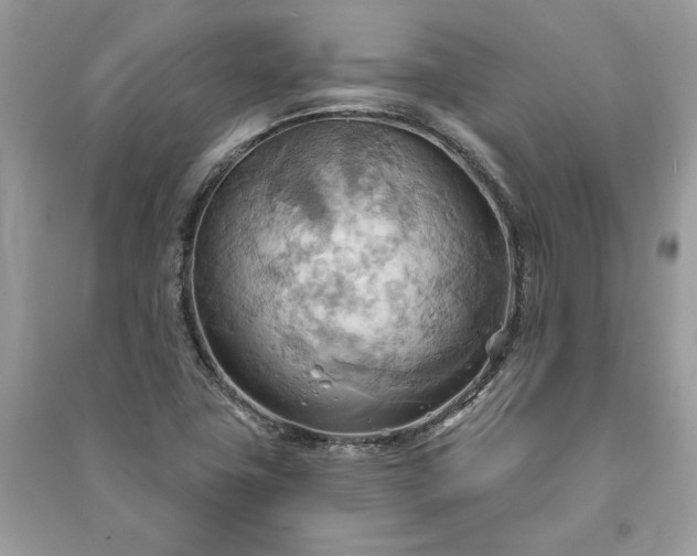 X0000090981411200708091448