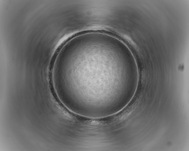 X0000090981412200708091448