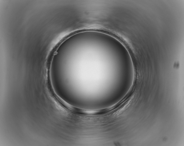X0000090981414200708091448