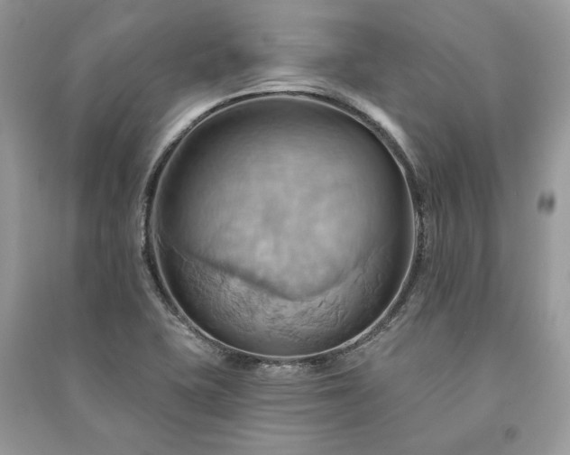 X0000090981415200708091448