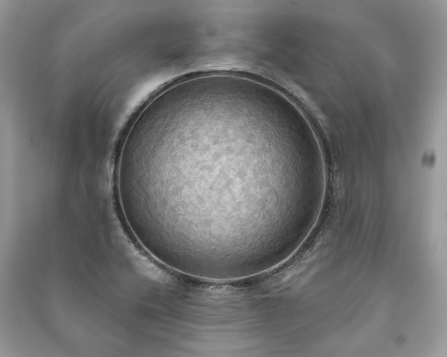 X0000090981416200708091448