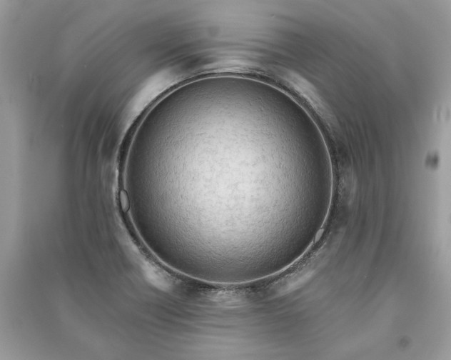 X0000090981418200708091448