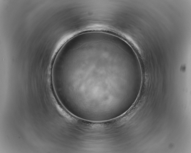X0000090981421200708091448