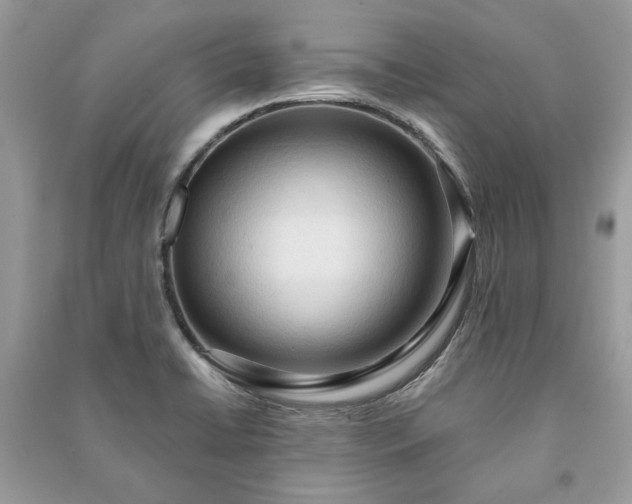 X0000090981422200708091448