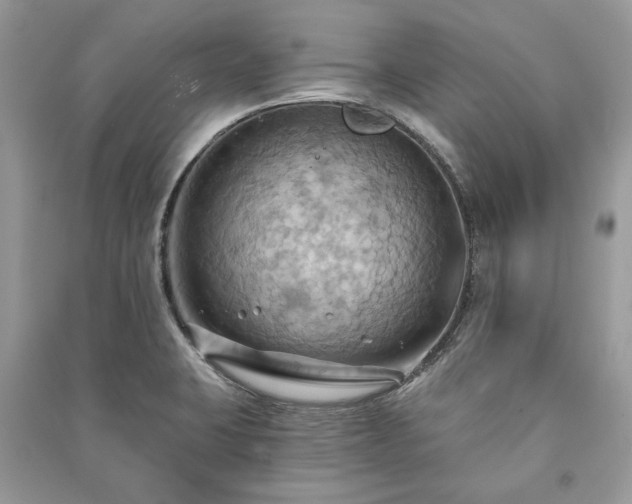 X0000090981423200708091448