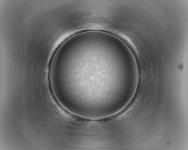 X0000090981424200708091448