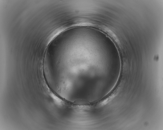 X0000090981425200708091448