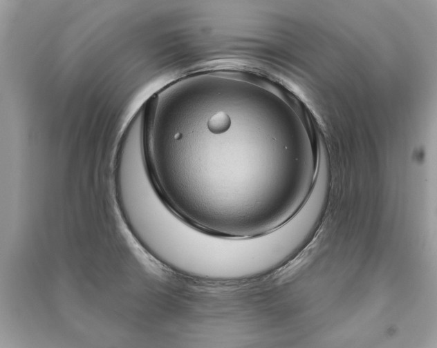 X0000090981426200708091448