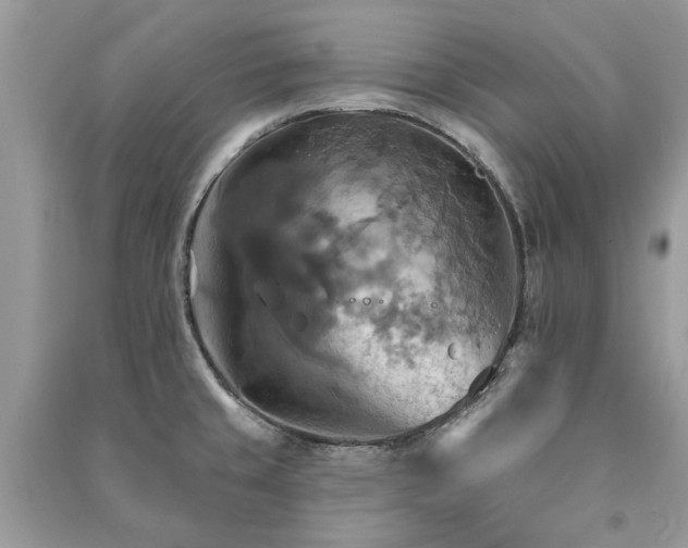 X0000090981429200708091448