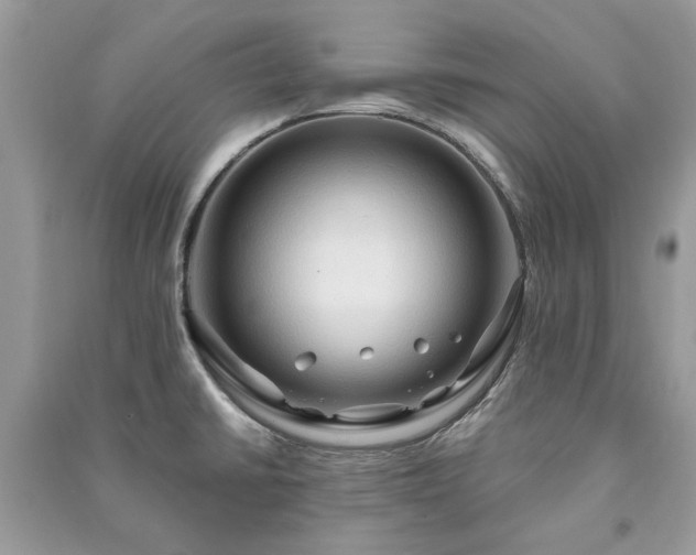 X0000090981430200708091448