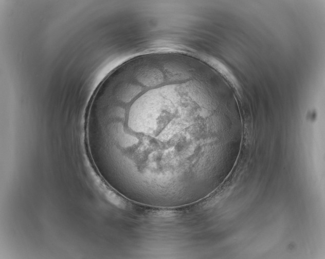 X0000090981431200708091448
