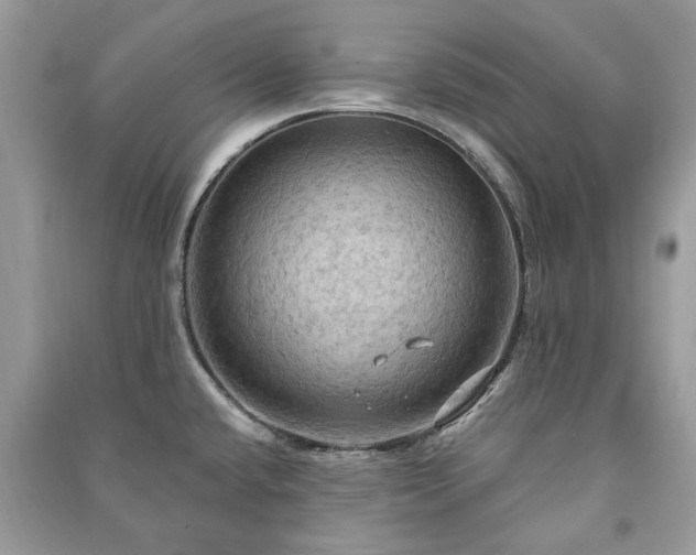 X0000090981432200708091448