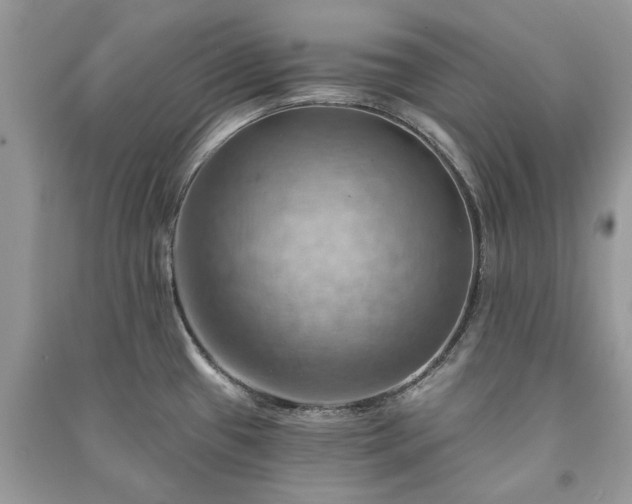 X0000090981433200708091448