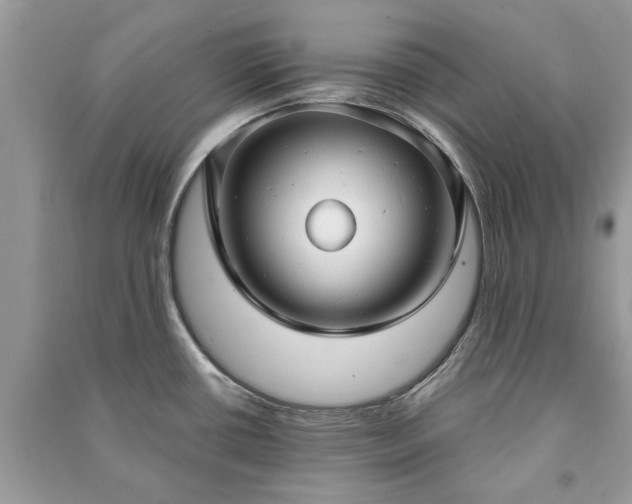 X0000090981434200708091448