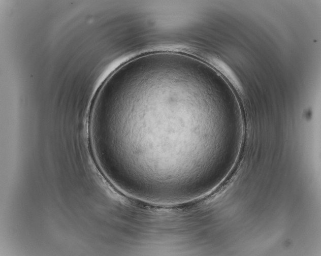 X0000090981436200708091448
