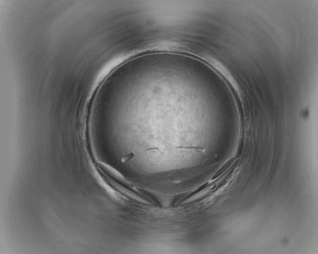 X0000090981437200708091448