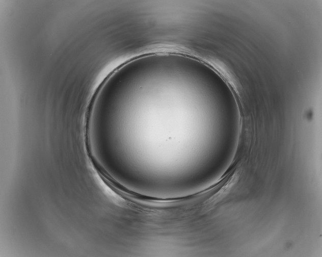 X0000090981438200708091448