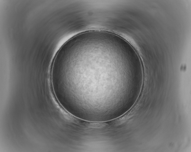 X0000090981440200708091448