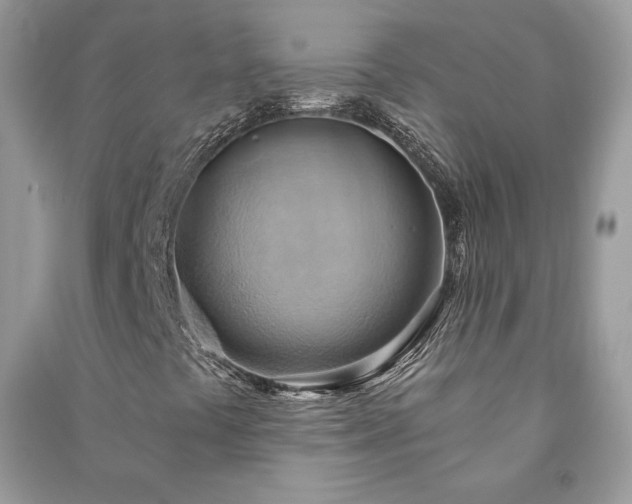 X0000090981441200708091447