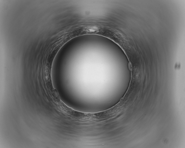 X0000090981442200708091447