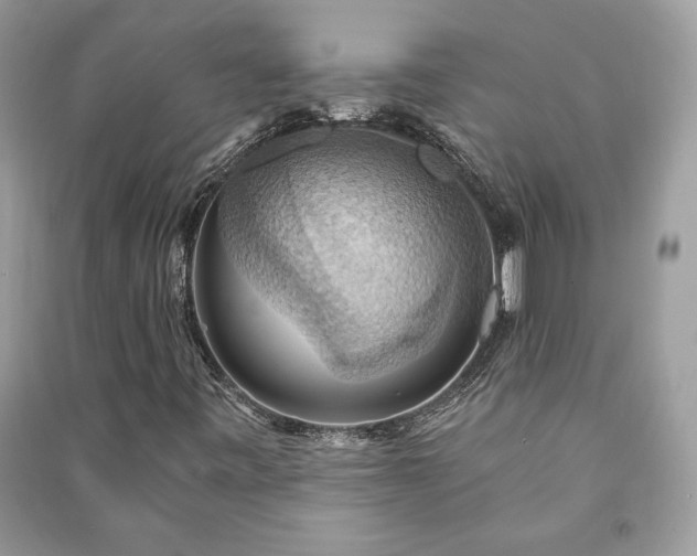 X0000090981443200708091447
