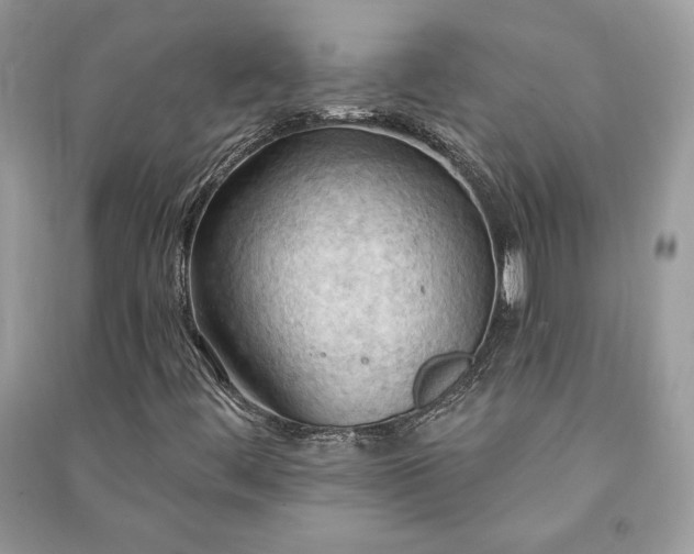 X0000090981444200708091447
