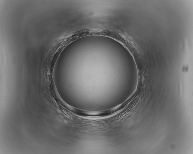 X0000090981445200708091447