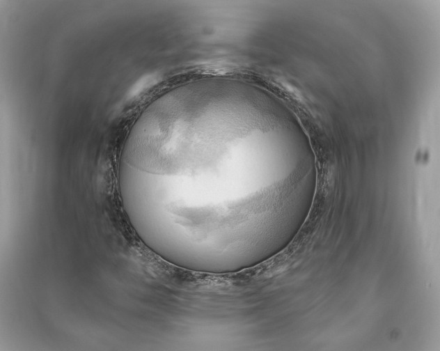 X0000090981446200708091447