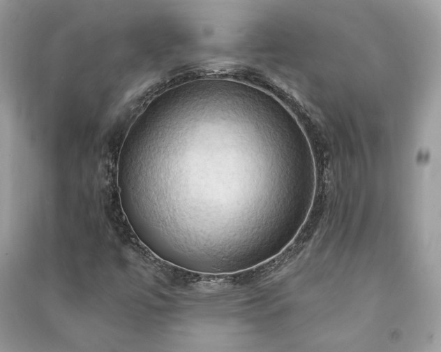 X0000090981447200708091447