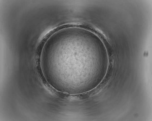 X0000090981448200708091447