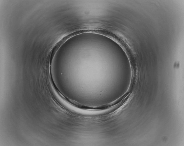 X0000090981449200708091447