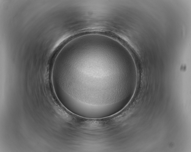 X0000090981450200708091447