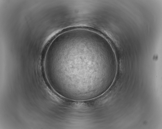 X0000090981452200708091447
