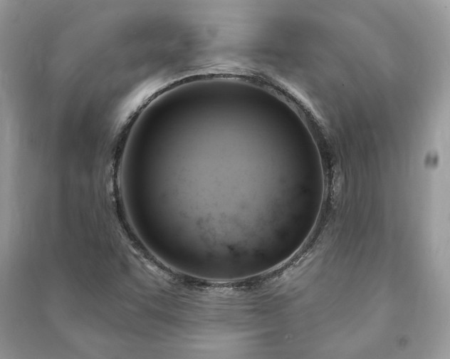 X0000090981455200708091447
