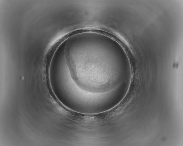 X0000090981456200708091447