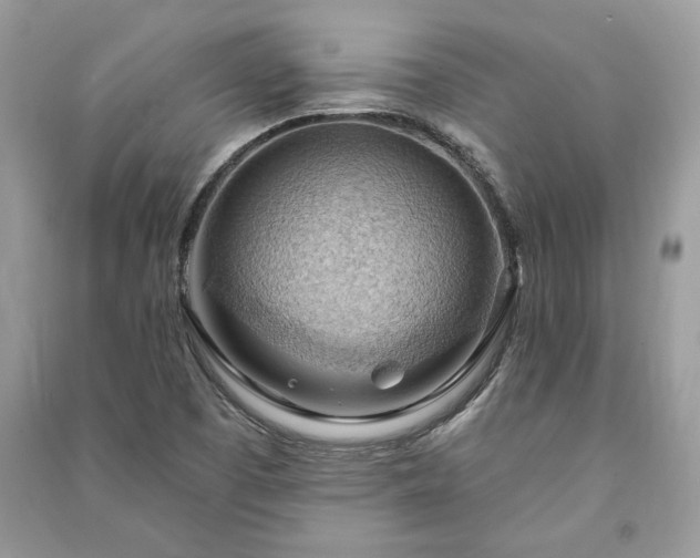 X0000090981457200708091447