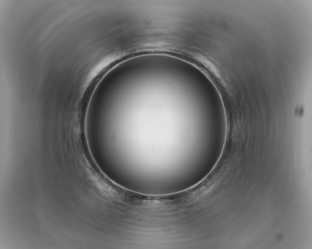 X0000090981458200708091447