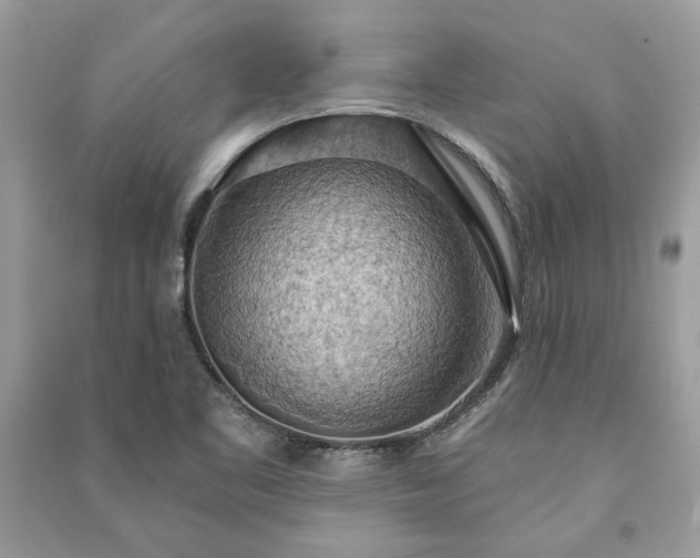 X0000090981461200708091447