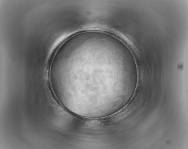 X0000090981462200708091447