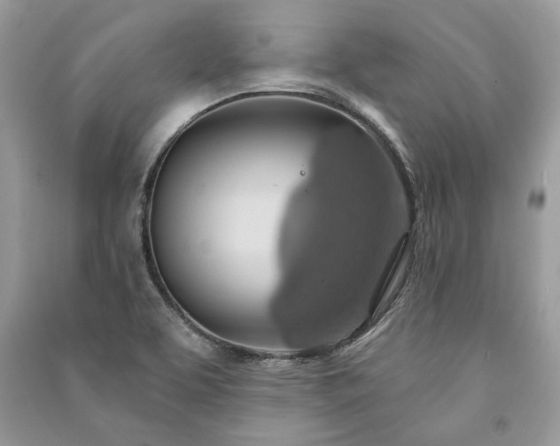 X0000090981463200708091447